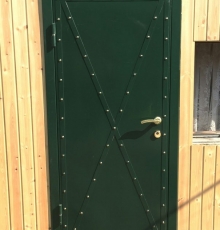 Дверь профильная N20