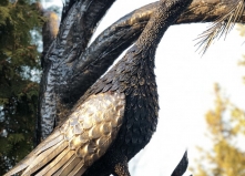 Художественные фигуры