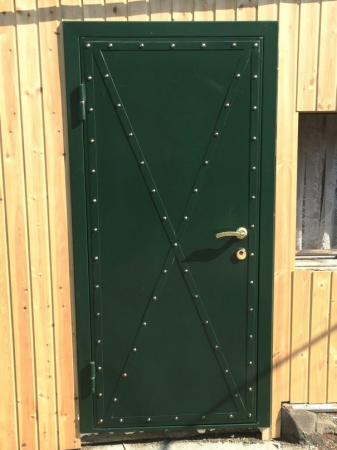 Дверь профильная N20