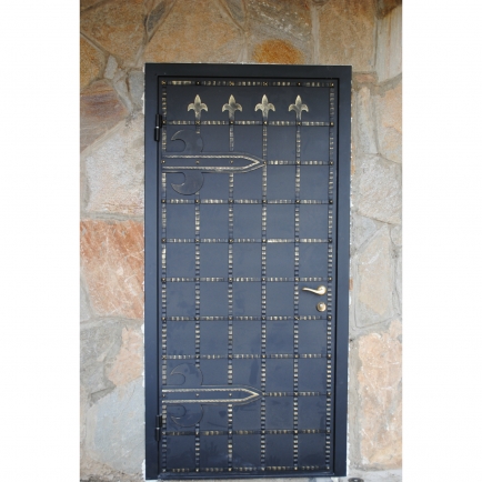 Дверь профильная "№1"